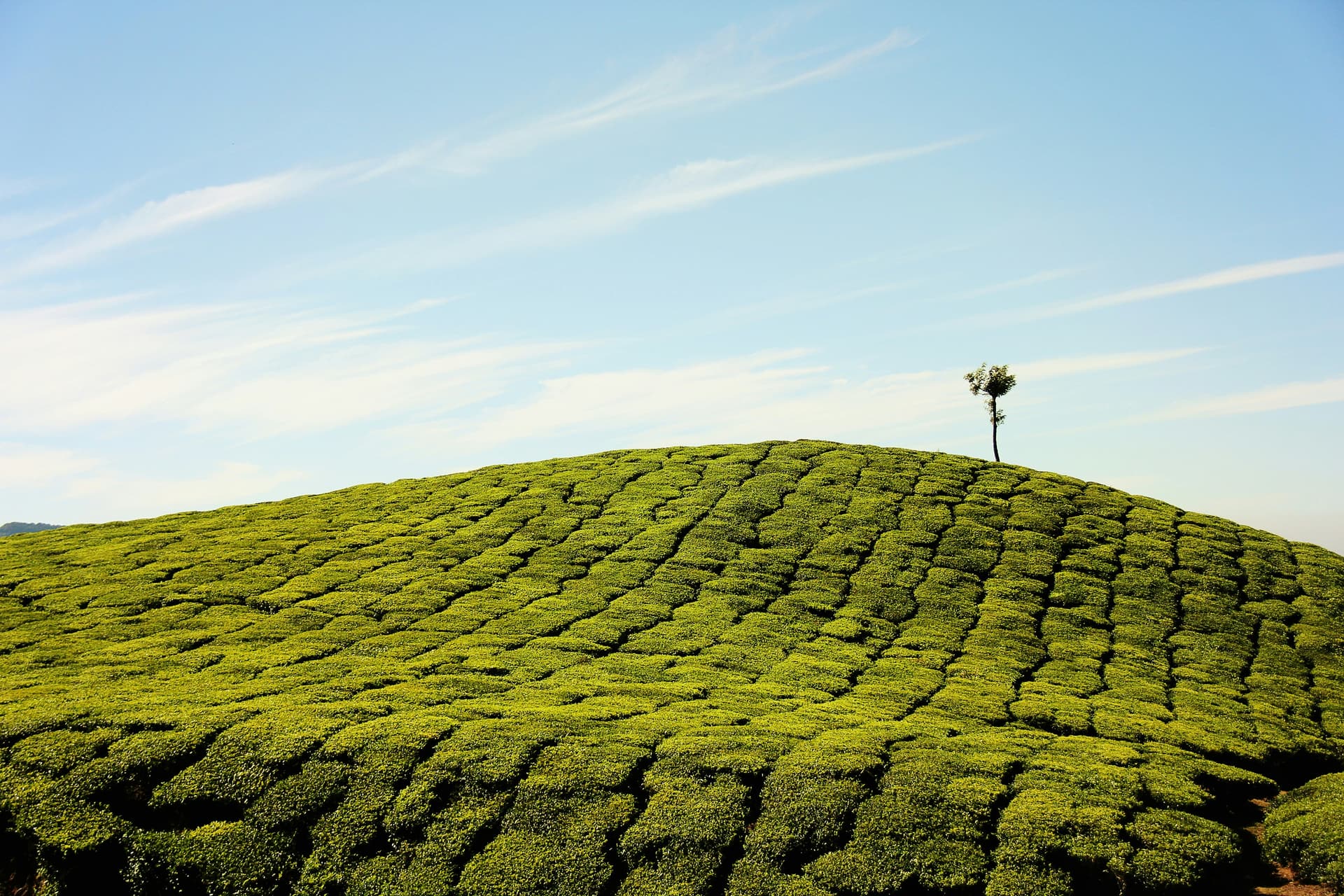 Munnar