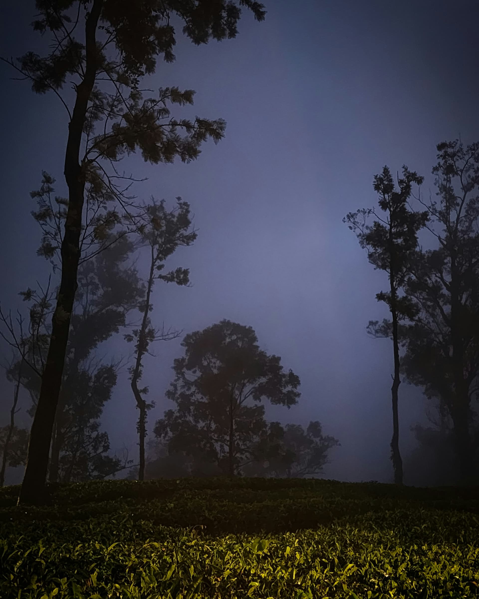 Wayanad