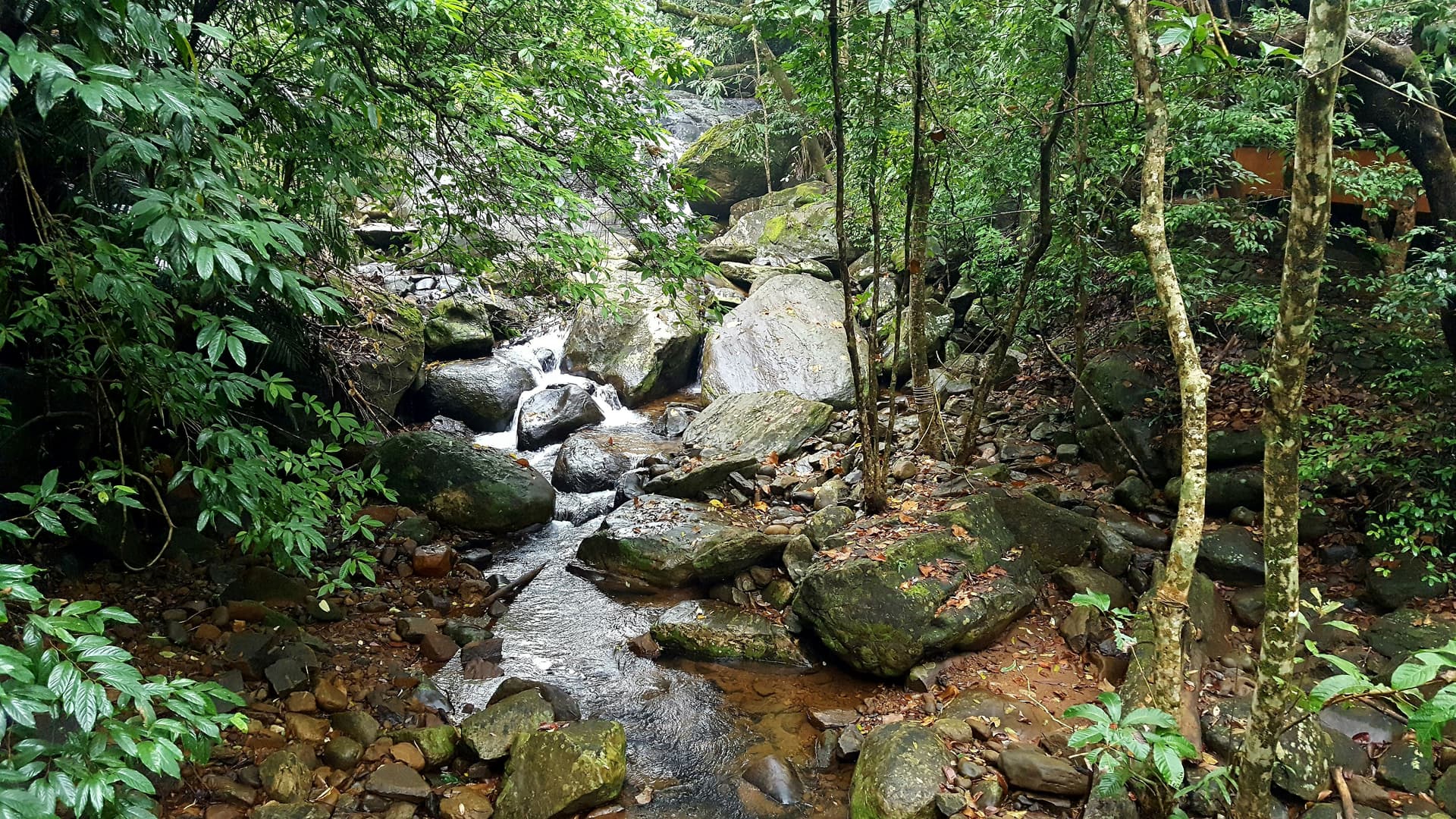 Wayanad
