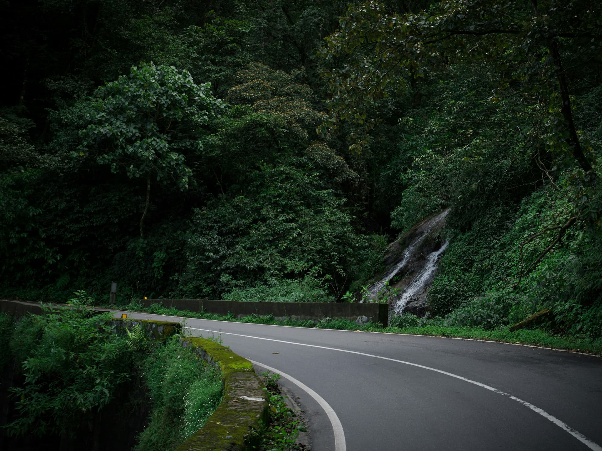 Roads of Thekkady