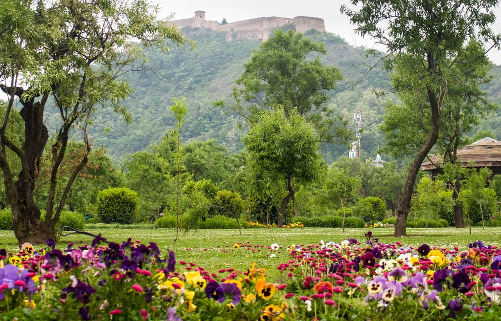 Badamwari Garden, Srinagar, Kashmir