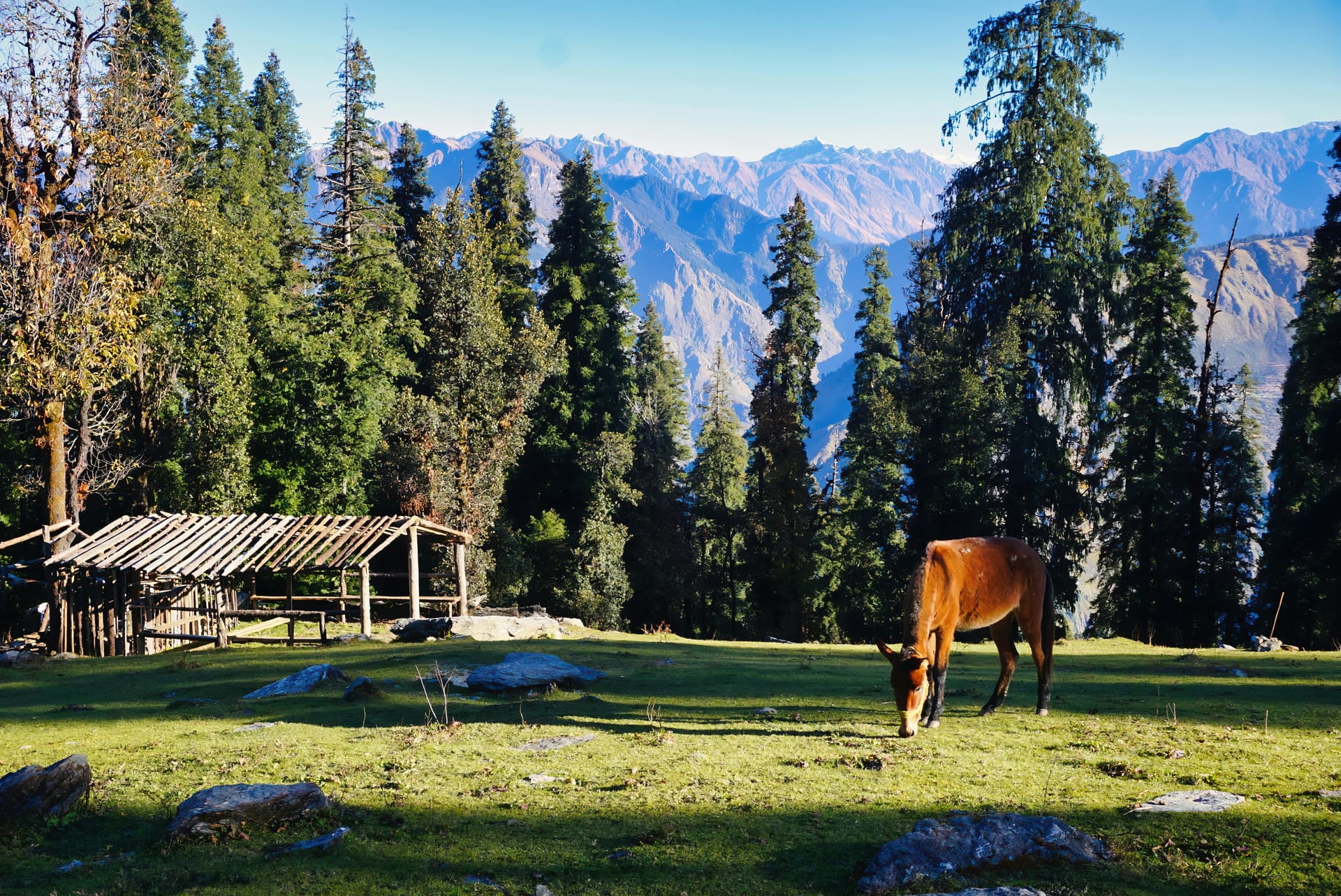 Sonmarg Paradise