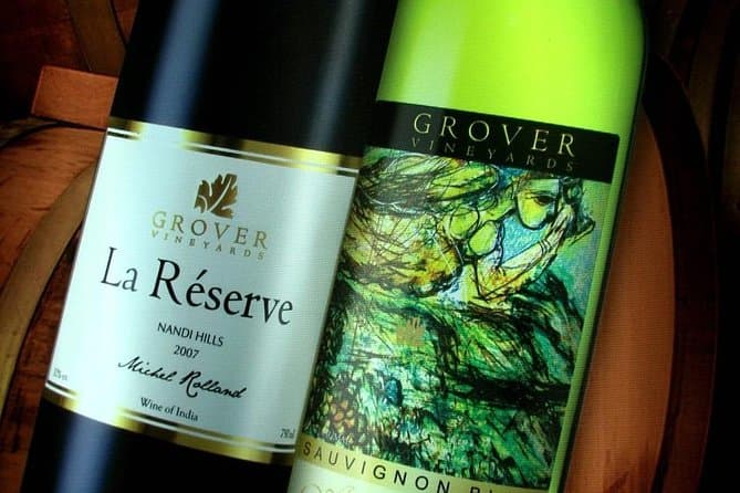 Exploring vineyards in Nandi Hills