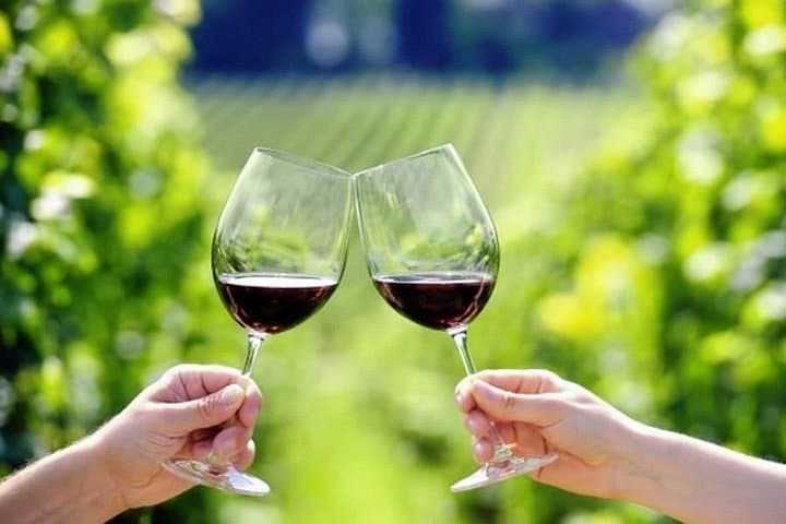 Wine tasting experience outdoors