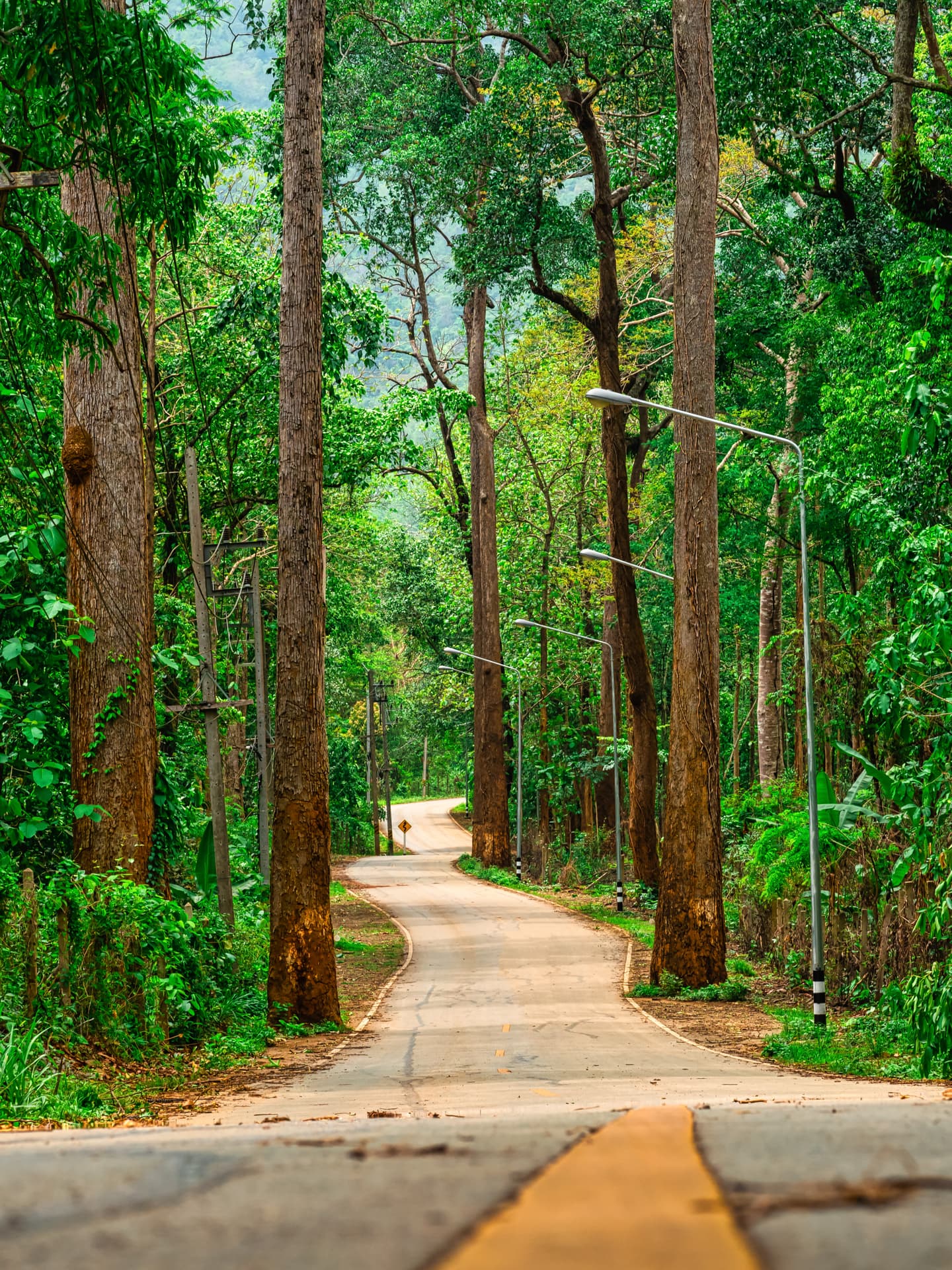 Cycle Trail at Turahalli Forest