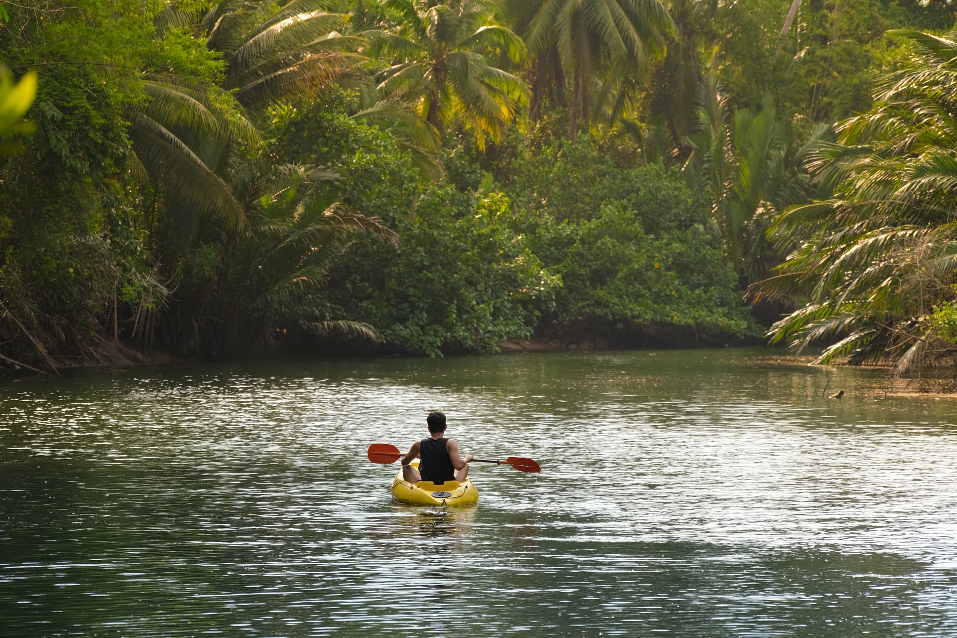 Kayaking at Honnemaradu