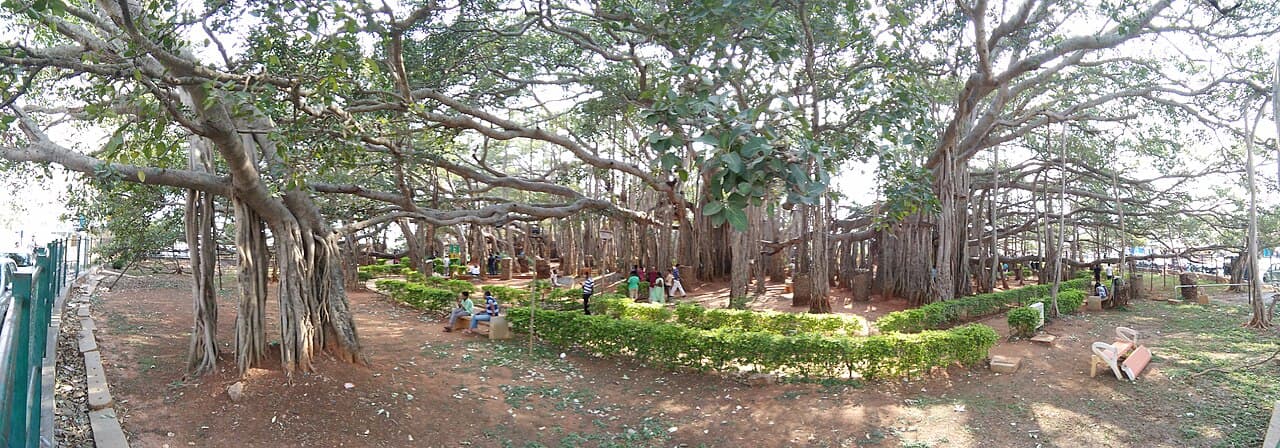 Dodda Alada Mara Bangalore