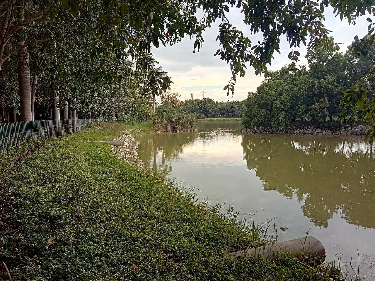 Jayaprakash Narayan Biodiversity Park