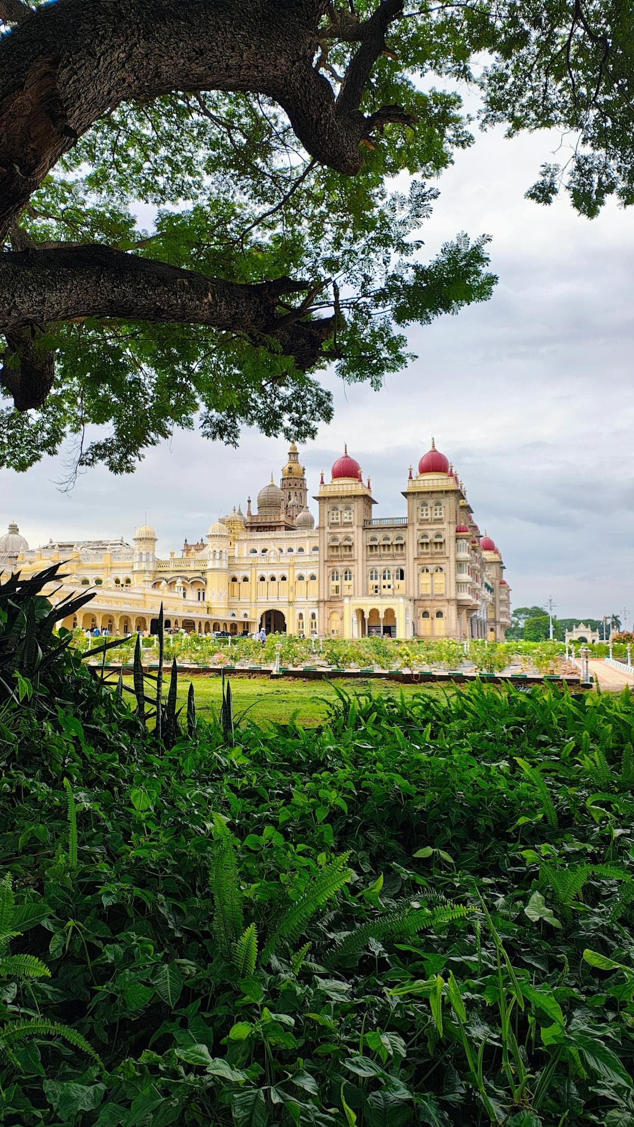 Mysore – The Royal Heritage City