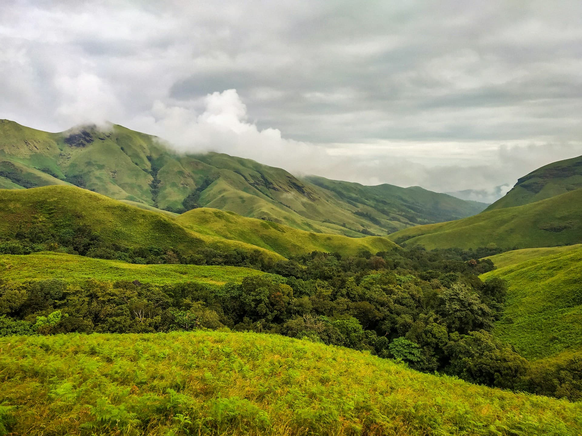 Kudremukh