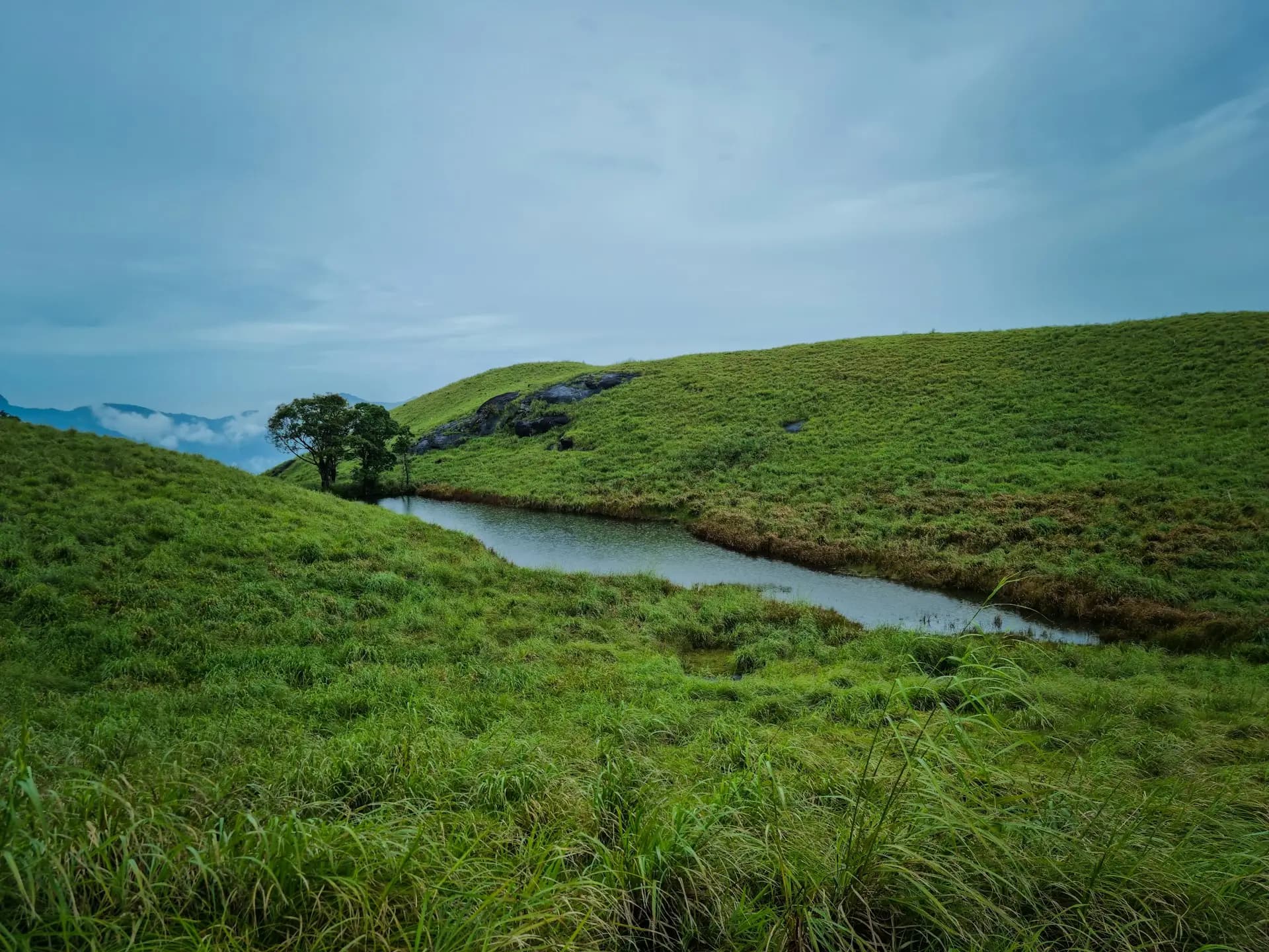 Chembra Peak Wayanad