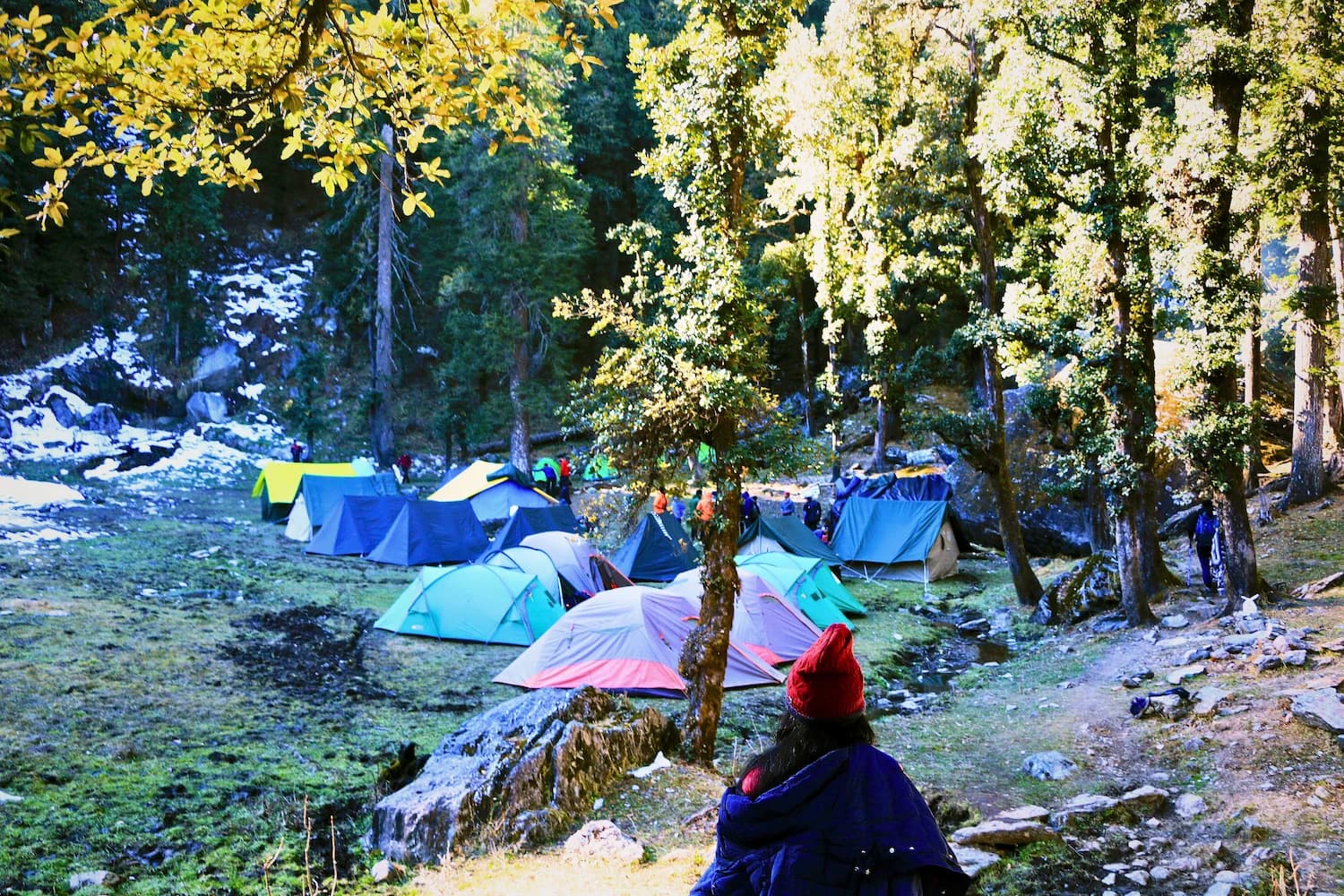 Kedarkantha Trek Summit