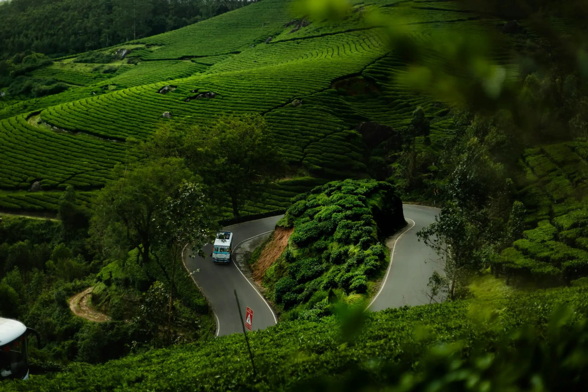 Wayanad top view road side