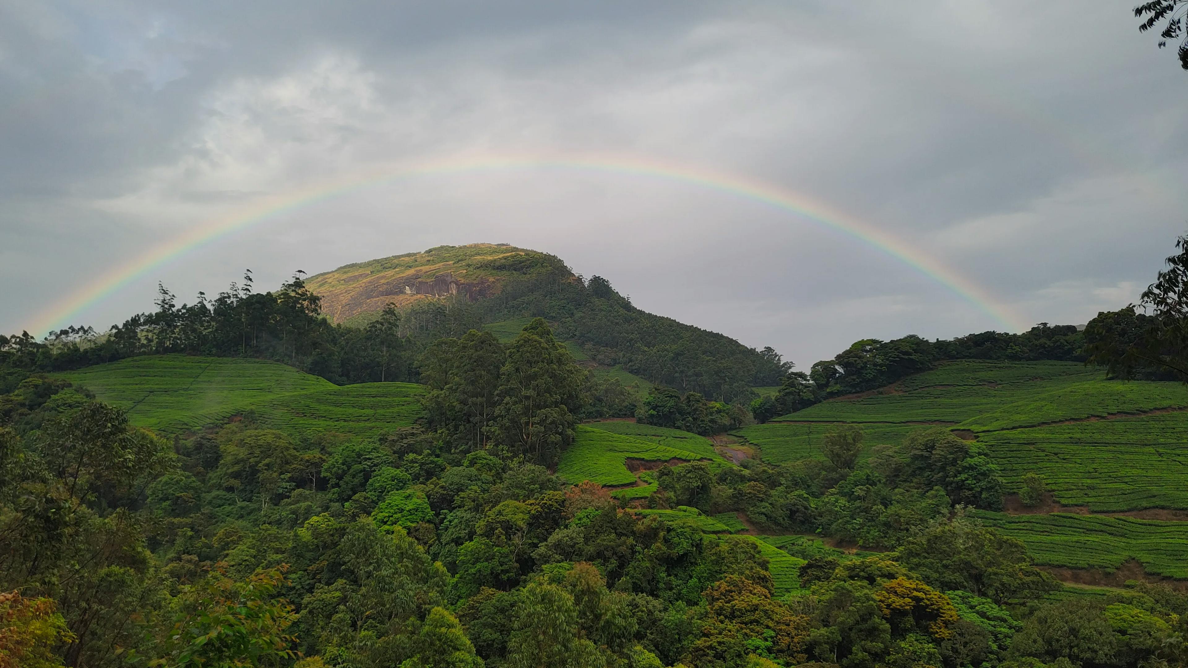 Tea Garden Harmony: Valparai Weekend Getaway with Stunning Rainbow Scene