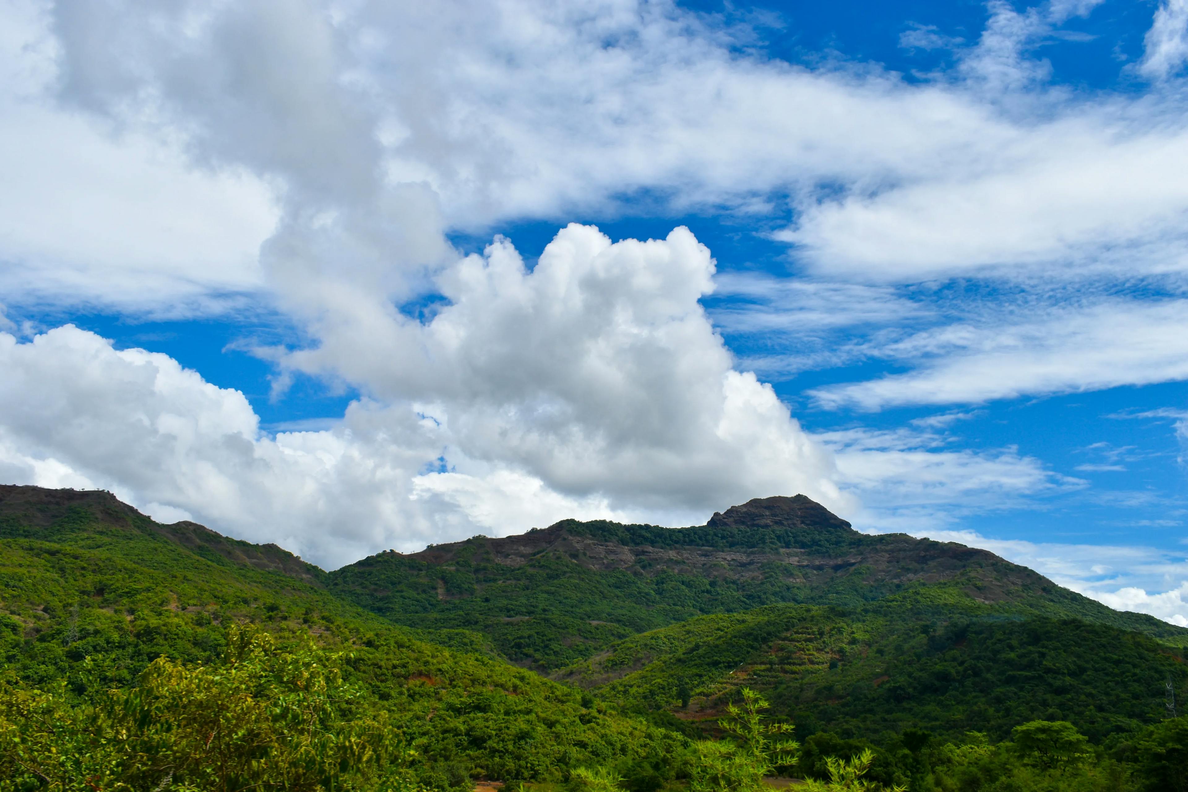 Narasimha Parvatha Trek: Trees, Clouds, and Blue Skies Amidst Mountains