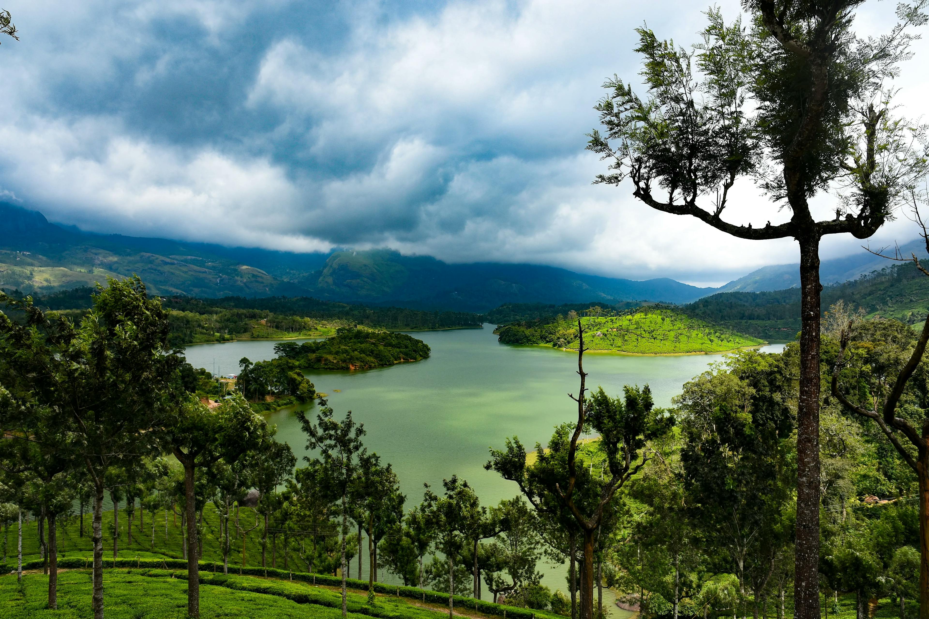 Munnar Tour: Discover the Paradise in Western Ghats Amidst Lush Green Hills from Bangalore