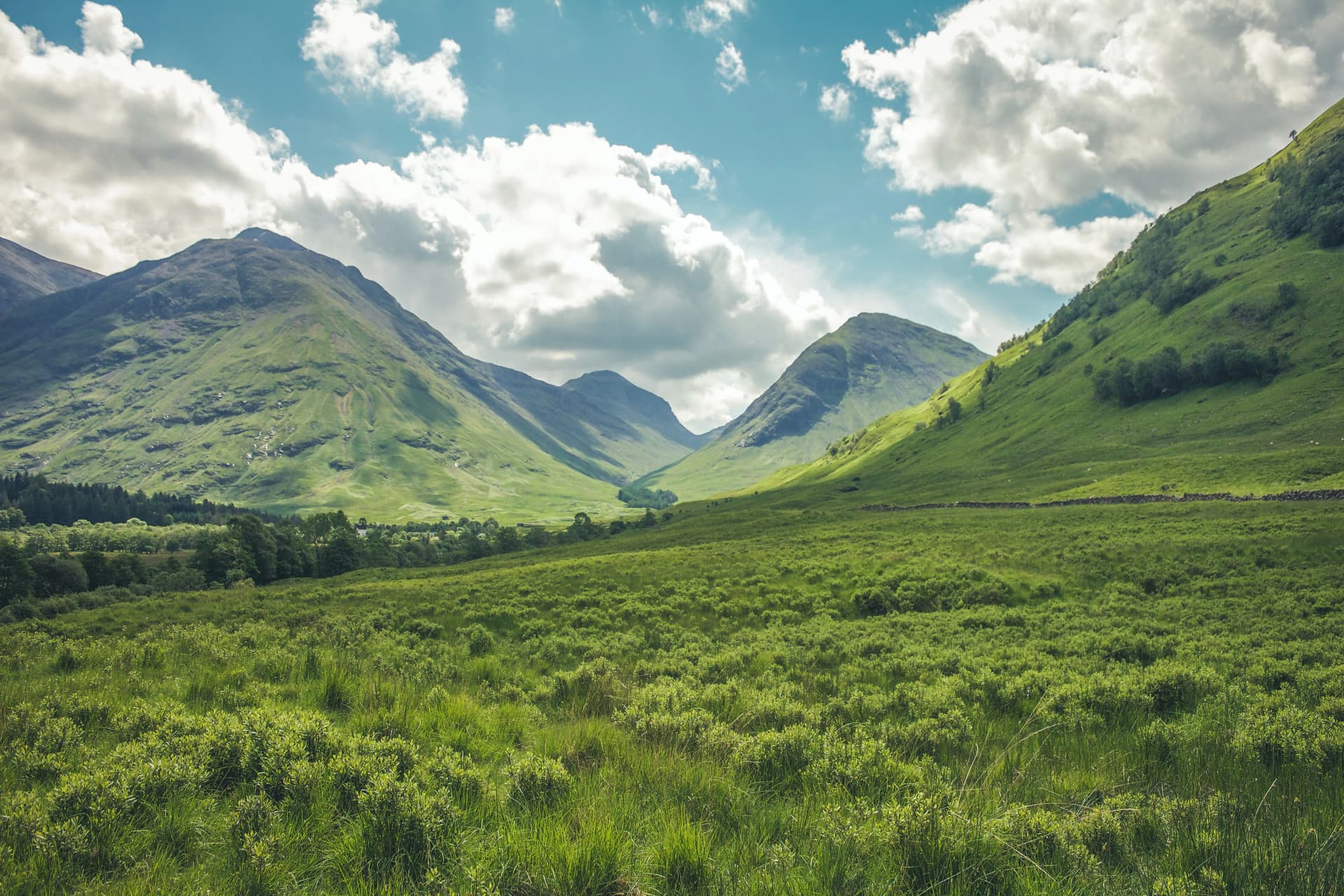 Meruthi Hill Trek: Panoramic View of Vast Greenery Landscape