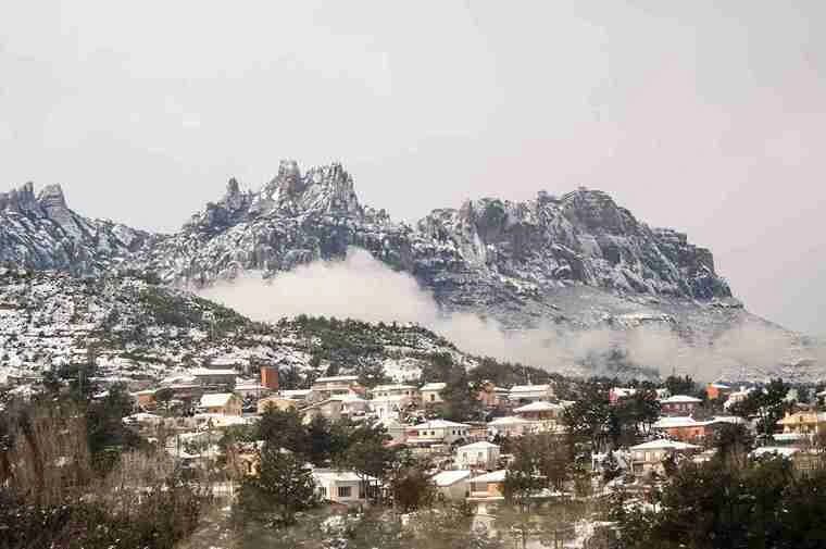 Sari Village