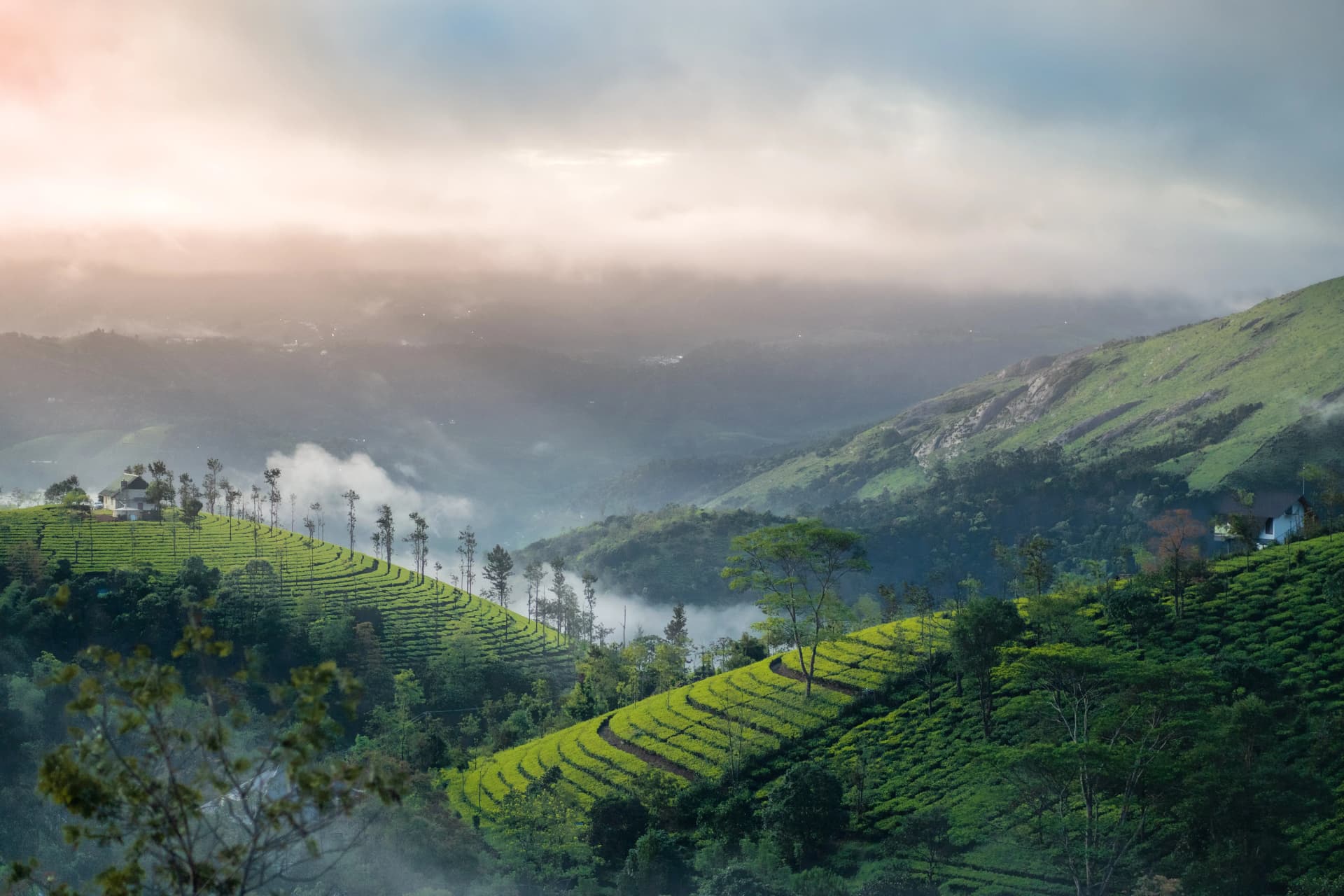 Vagamon