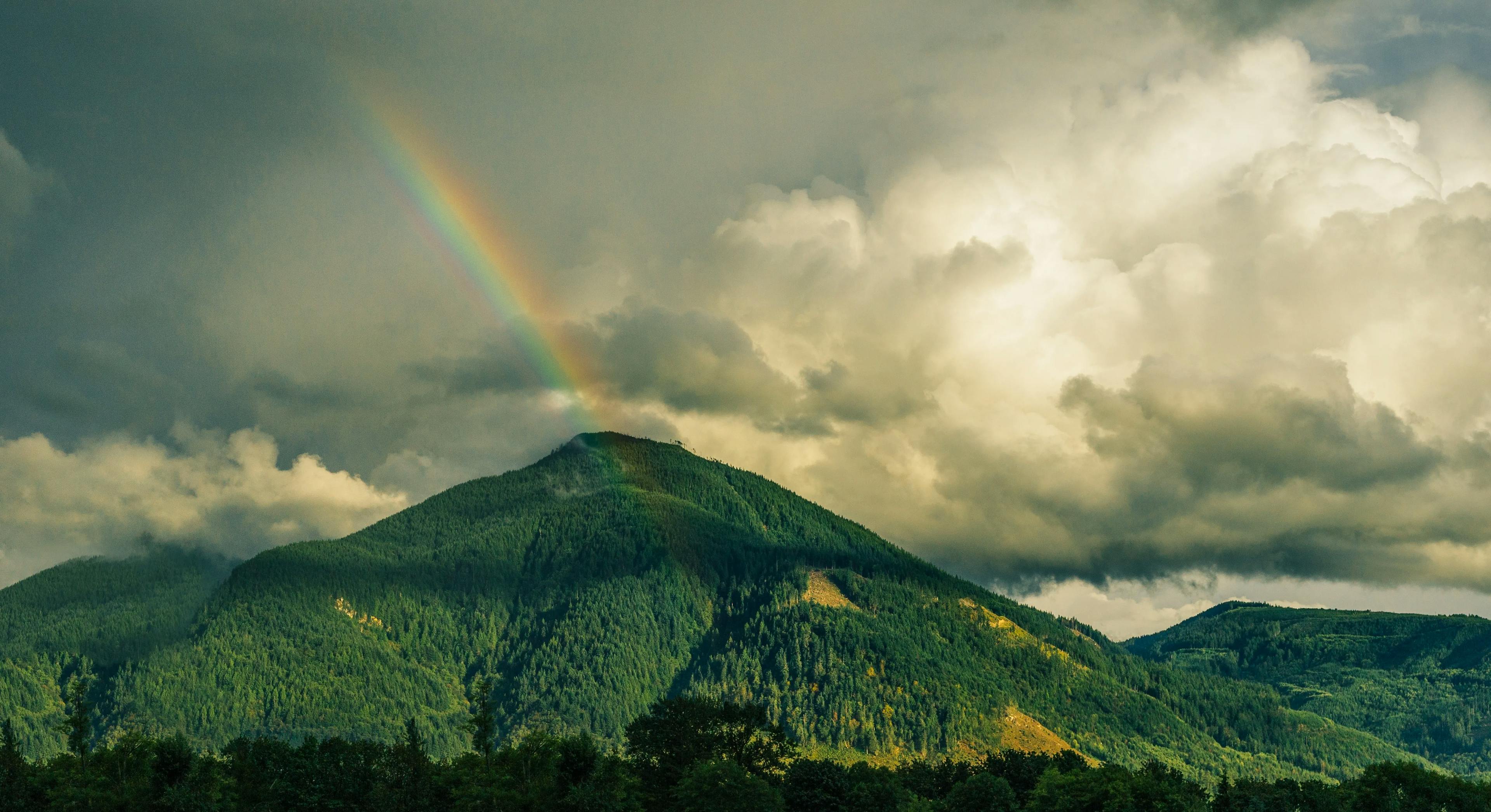 Kurinjal Trekking Adventure: Green Mountains and Colorful Rainbow