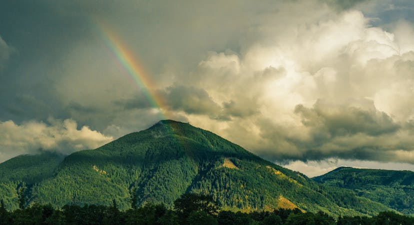 Kurinjal Trekking Adventure: Green Mountains and Colorful Rainbow