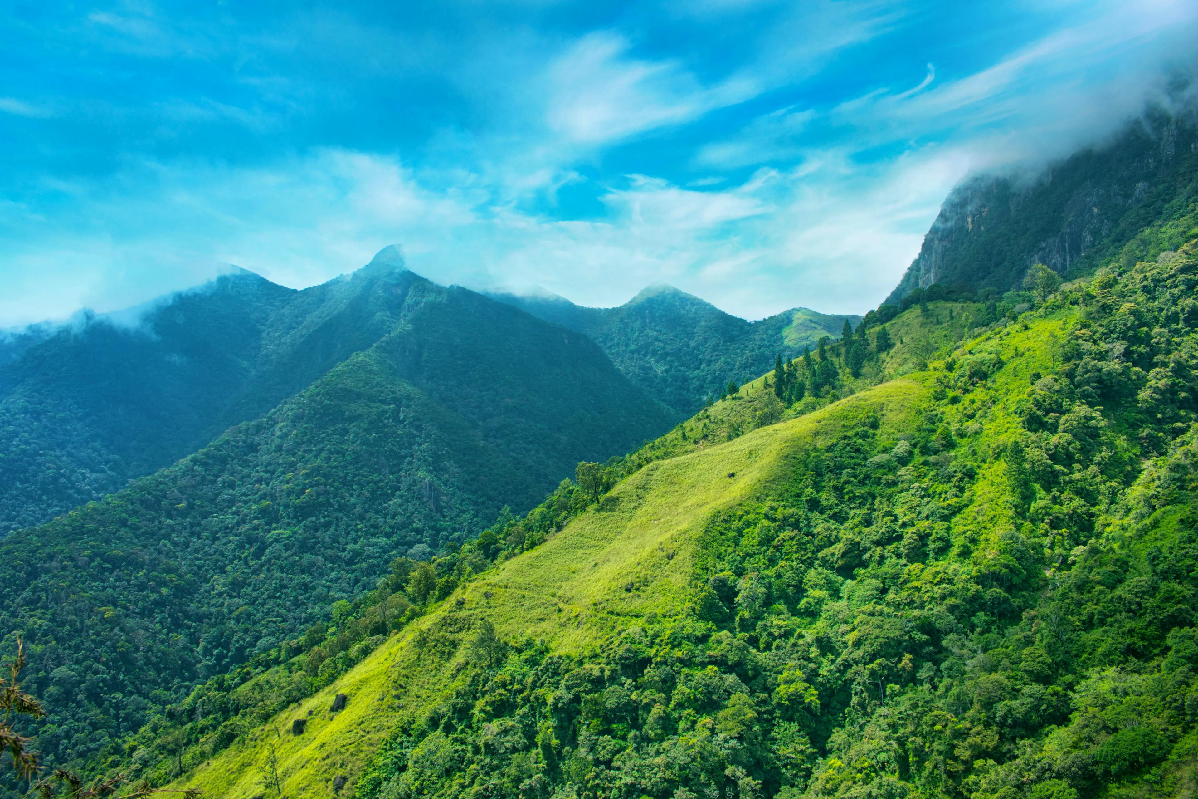 Ombattu Gudda Trek: Lush Greenery and Misty-Covered Mountains