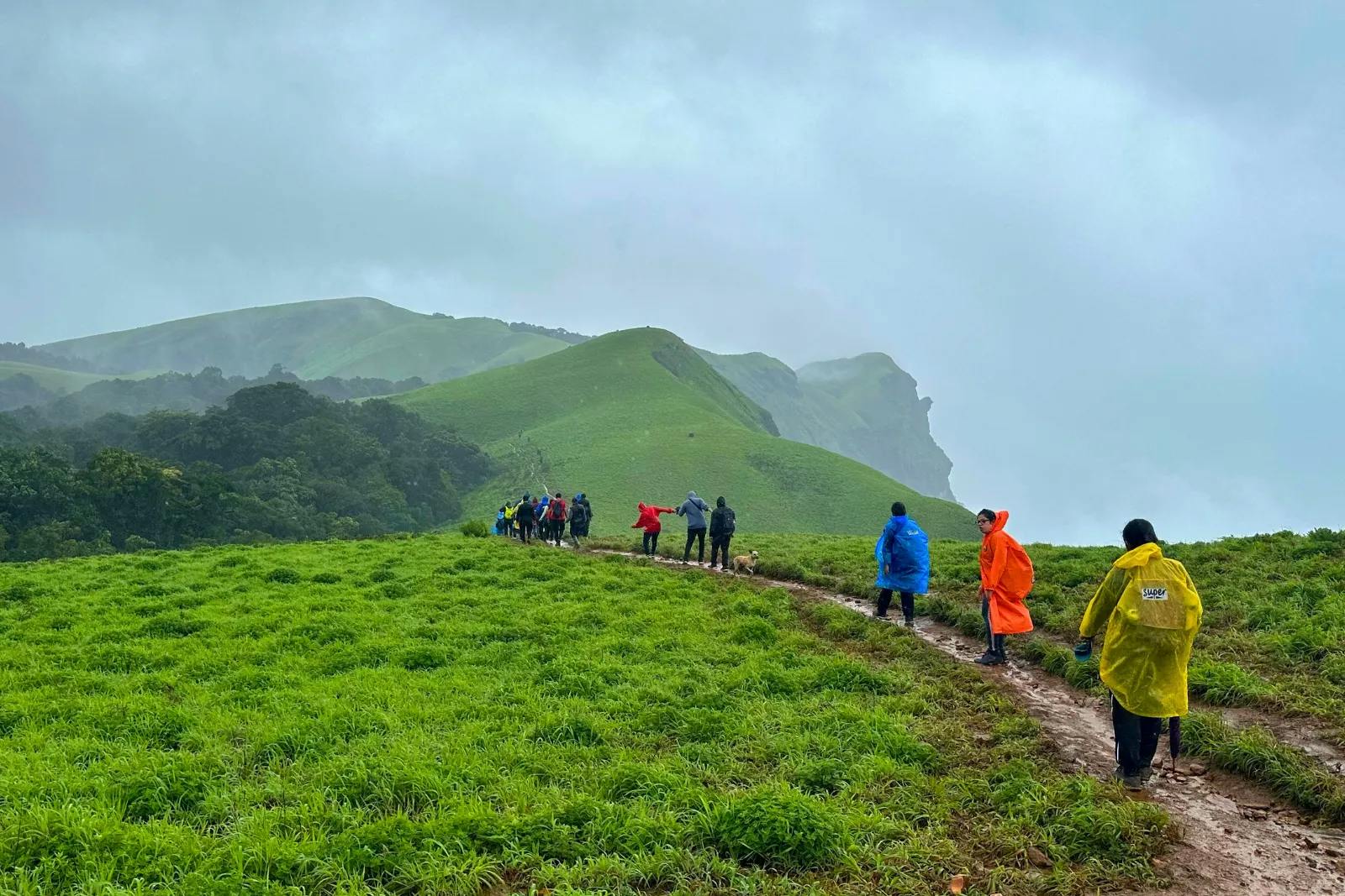 Netravathi Peak Trek: Rainy Trekking Trail Amidst Lush Green Mountains