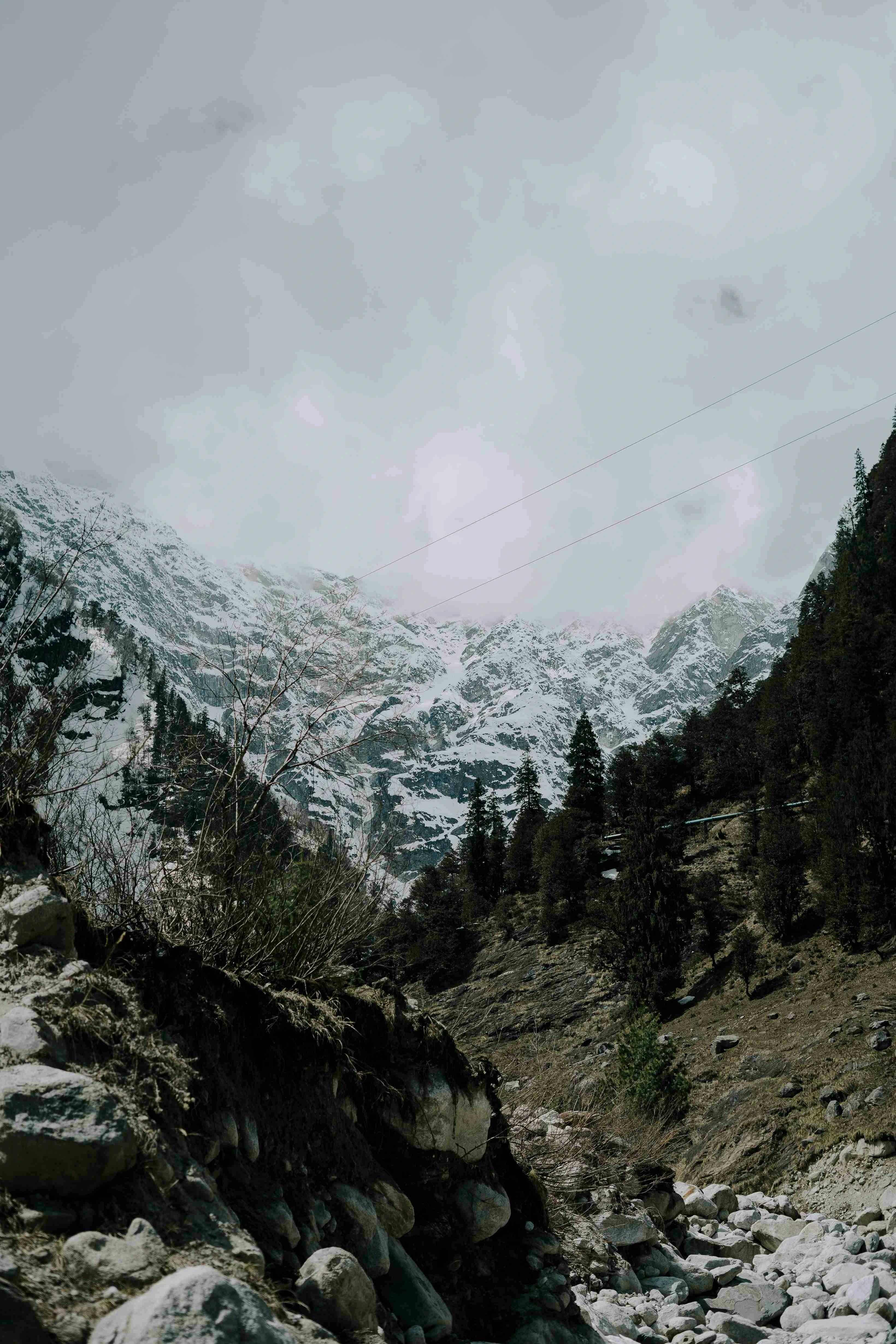 Kashmir Winter Trekking Adventure: Scenic Beauty of Snowy Peaks and Forest
