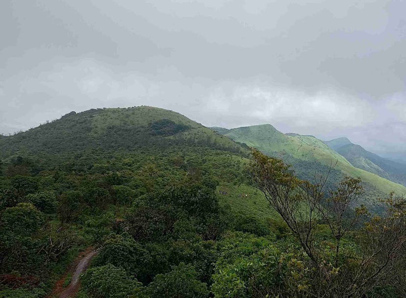 Nishani Motte Trek: Verdant Hills with Lush Green Trees from Bangalore
