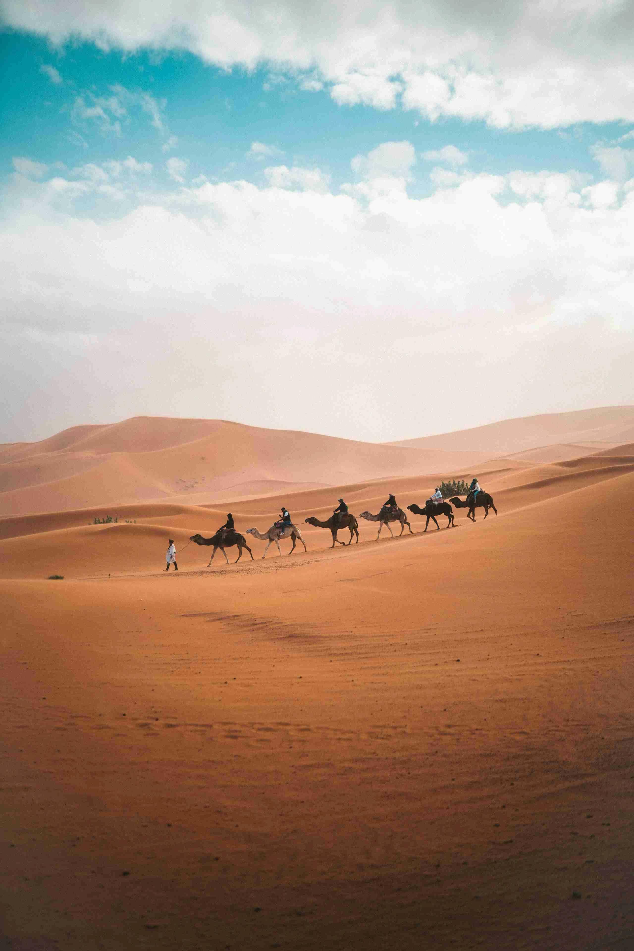 Rajasthan Backpacking Expedition: Scenic Beauty of Camel ride and desert Camping