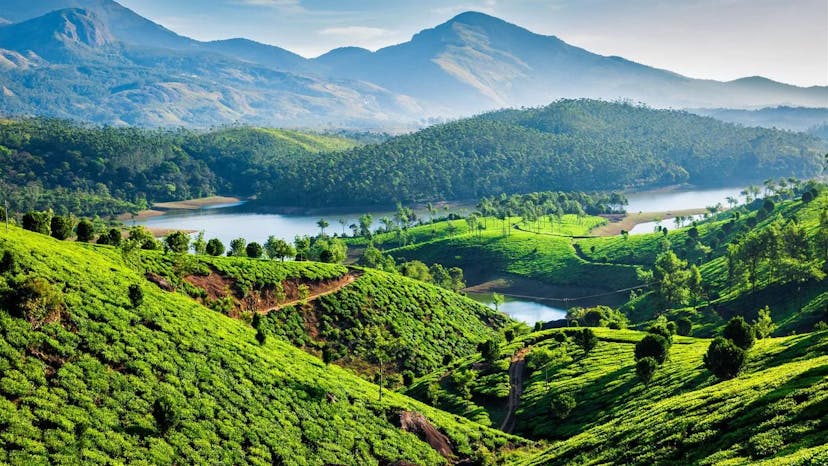 Green Hills Harmony: Munnar Weekend Getaway with Gorgeous Riverside Tea Plantation