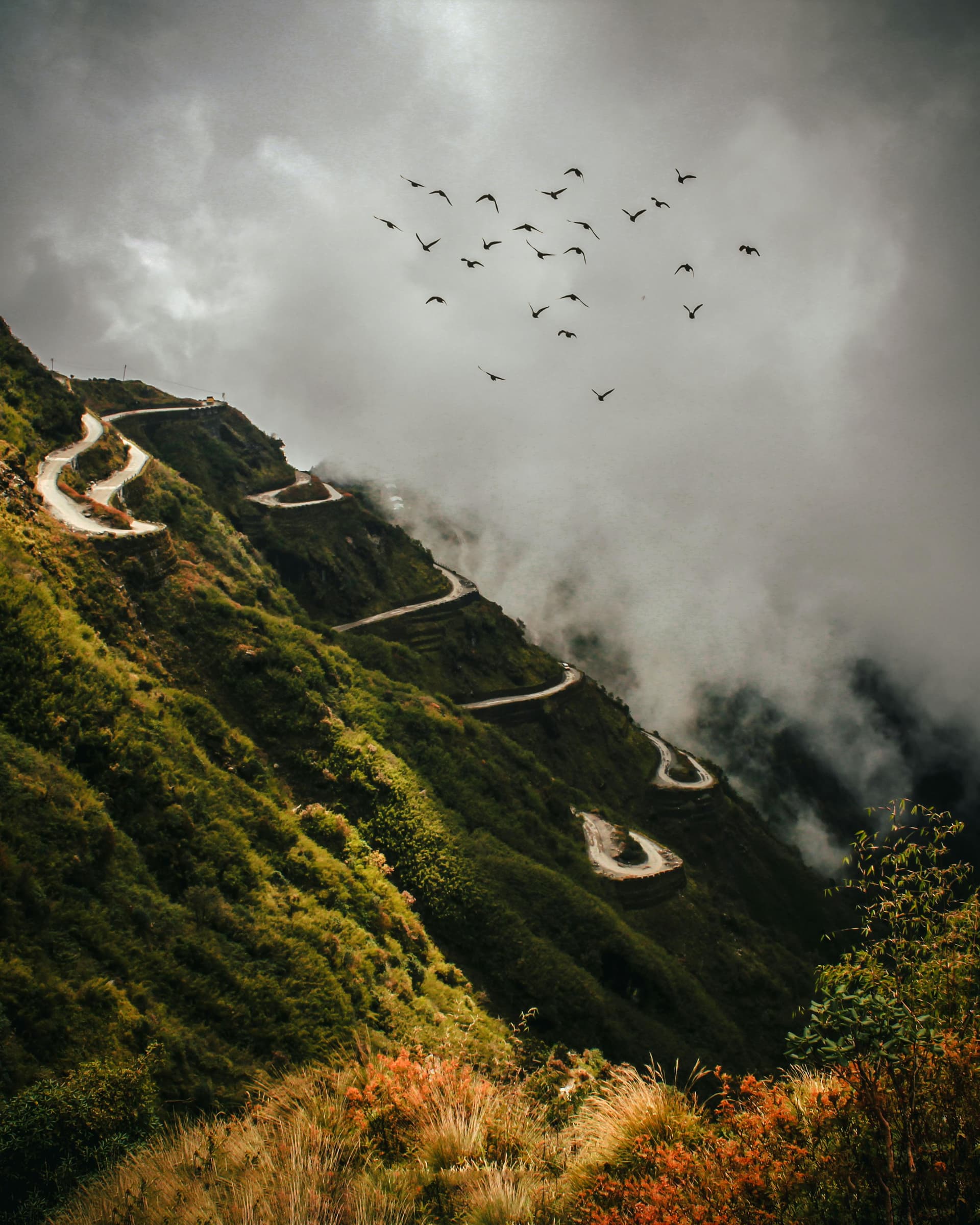 Longwa nagaland backpacking tours