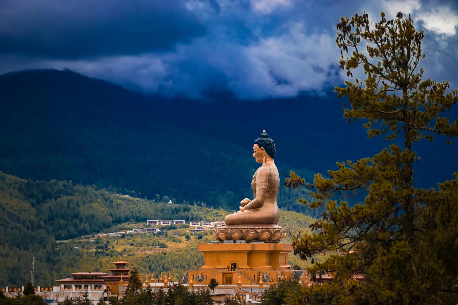 essence of bhutan (8days/7nights)