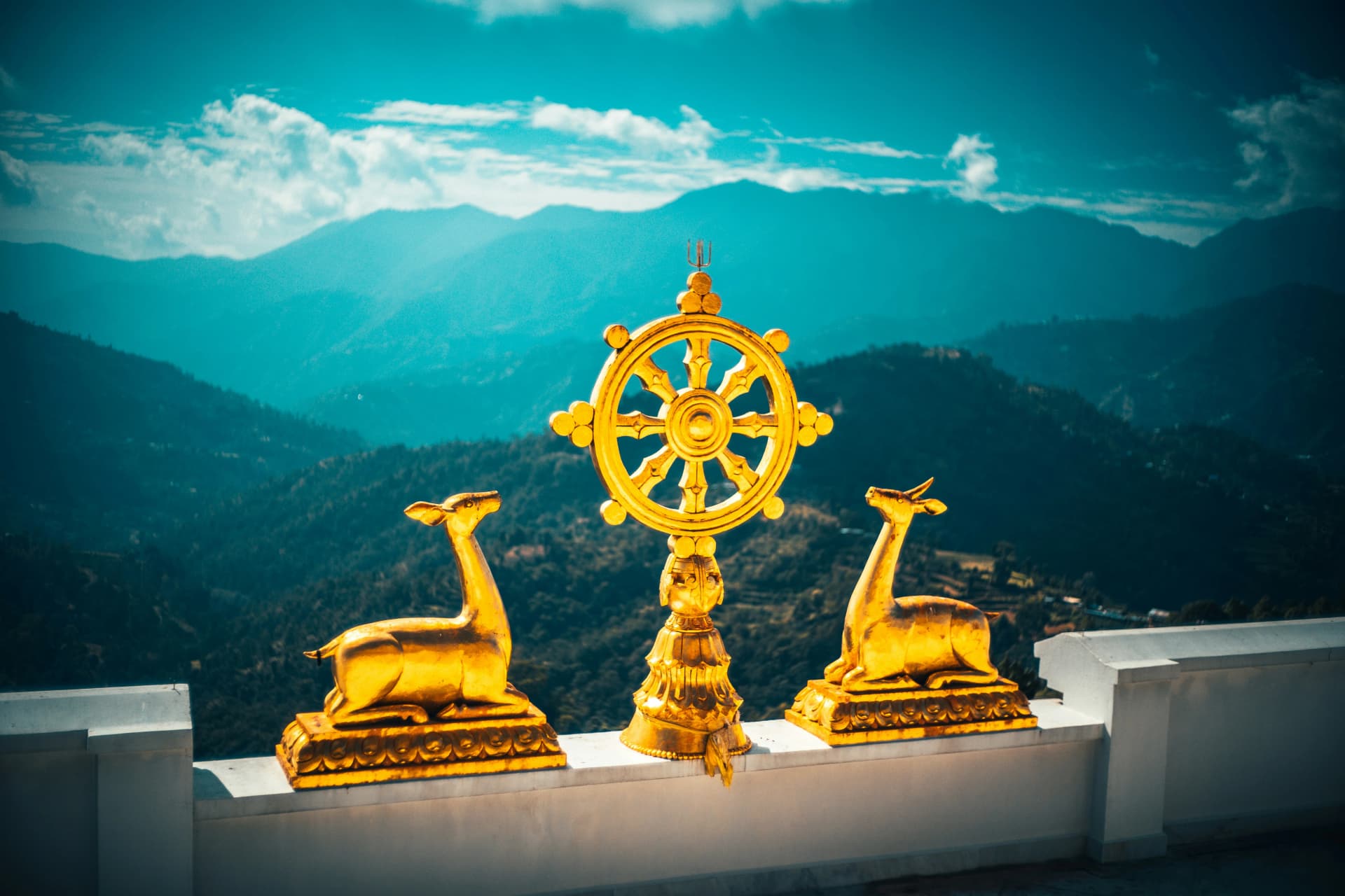 bhutan - land of dragon in 7D/6N